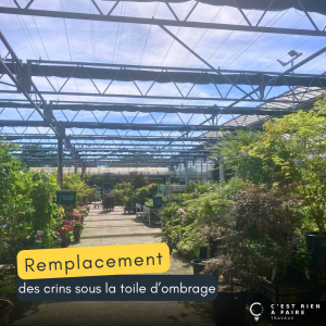 Serre jardinerie   C'est rien à faire Servian 00012